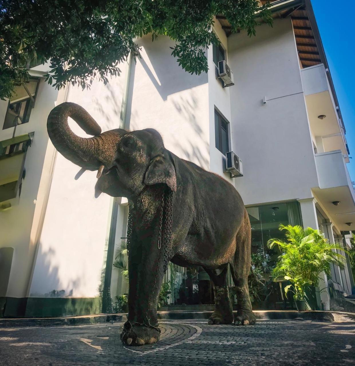 Hotel Yo Kandy Kültér fotó